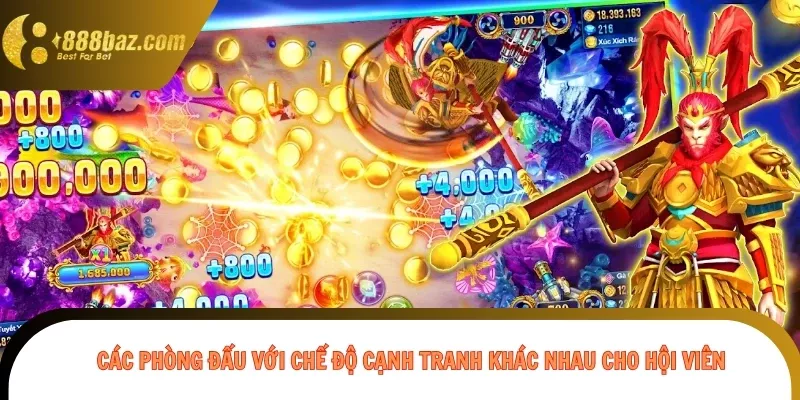 Các phòng đấu với chế độ cạnh tranh khác nhau cho hội viên